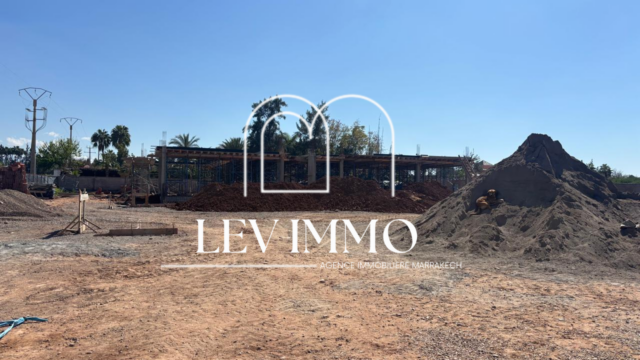 Design sans titre (3)